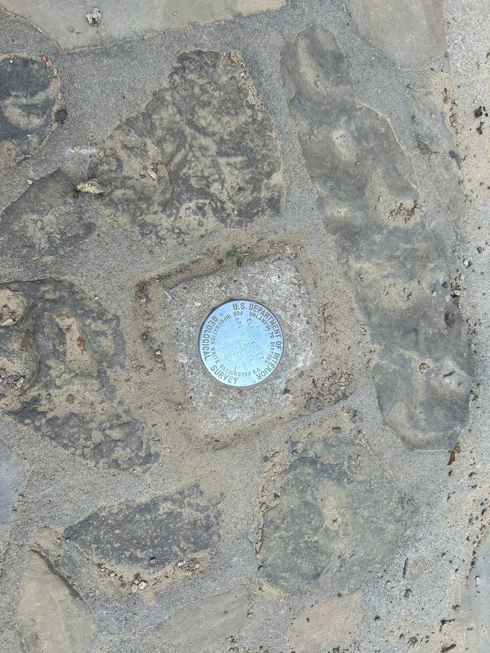 USGS Marker at Signal Hill